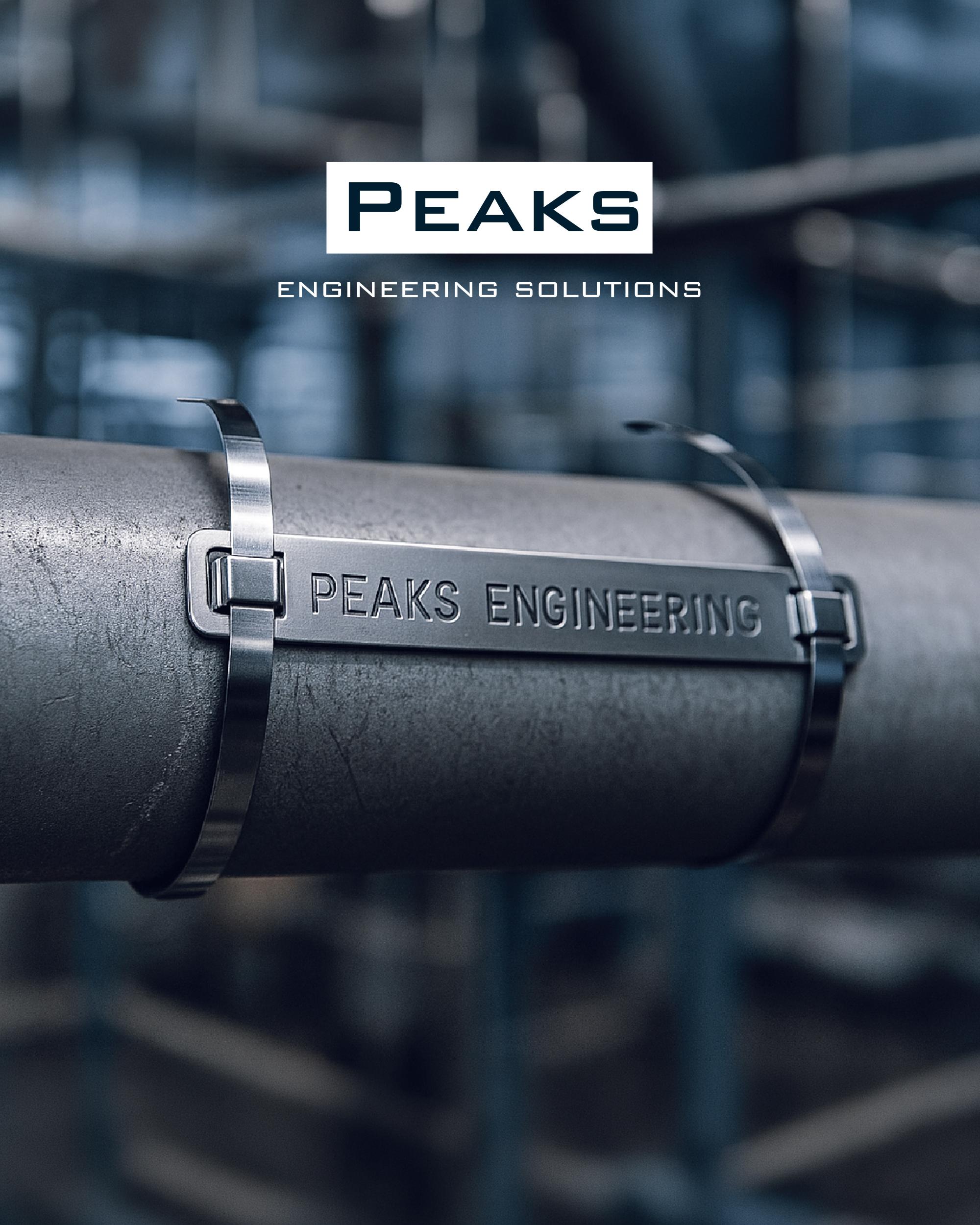 Peaks Engineering branding and website redesign case study cover image for Saudi Arabia market work